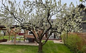 Apartmany U Lipy